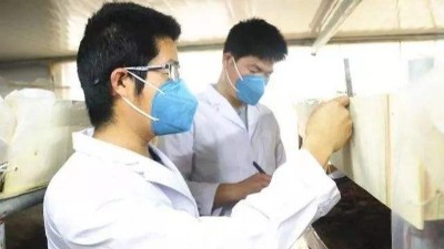 負載對激情AV青青草的溫濕度性能有哪些影響？